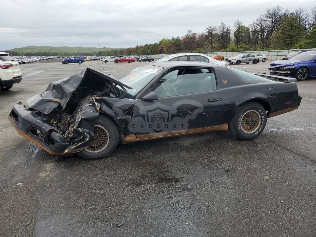 Pontiac Firebird TRANS AM 5.0L  8 1983