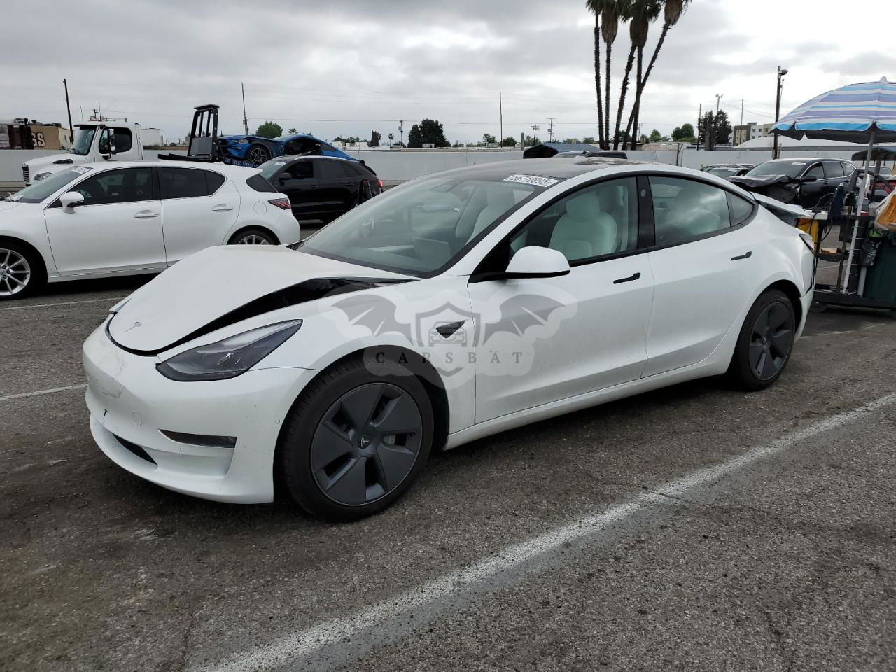Tesla Model 3 2022