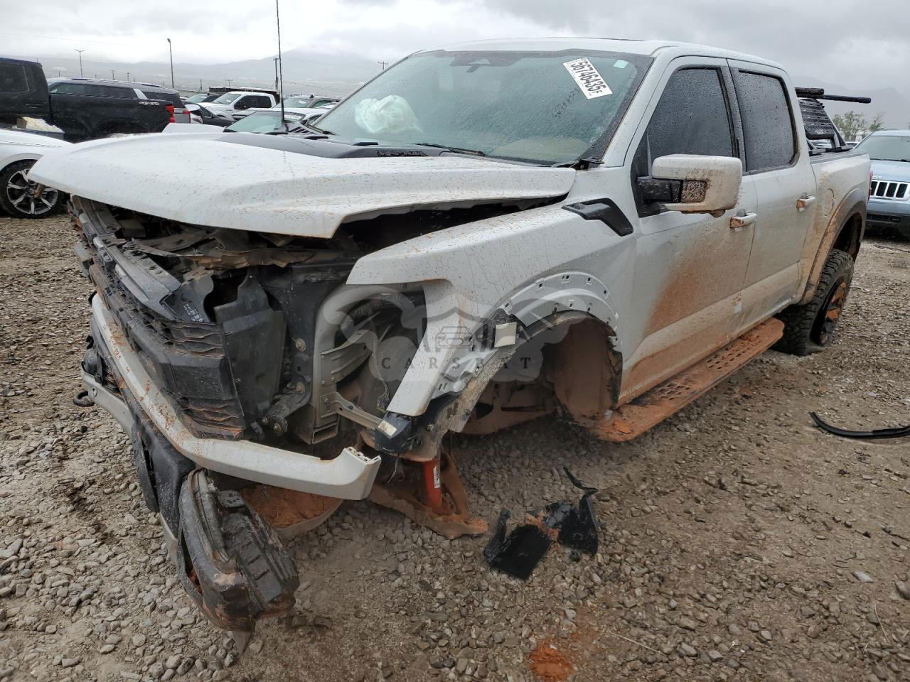 Ford F-150 RAPTOR 3.5L  6 2023