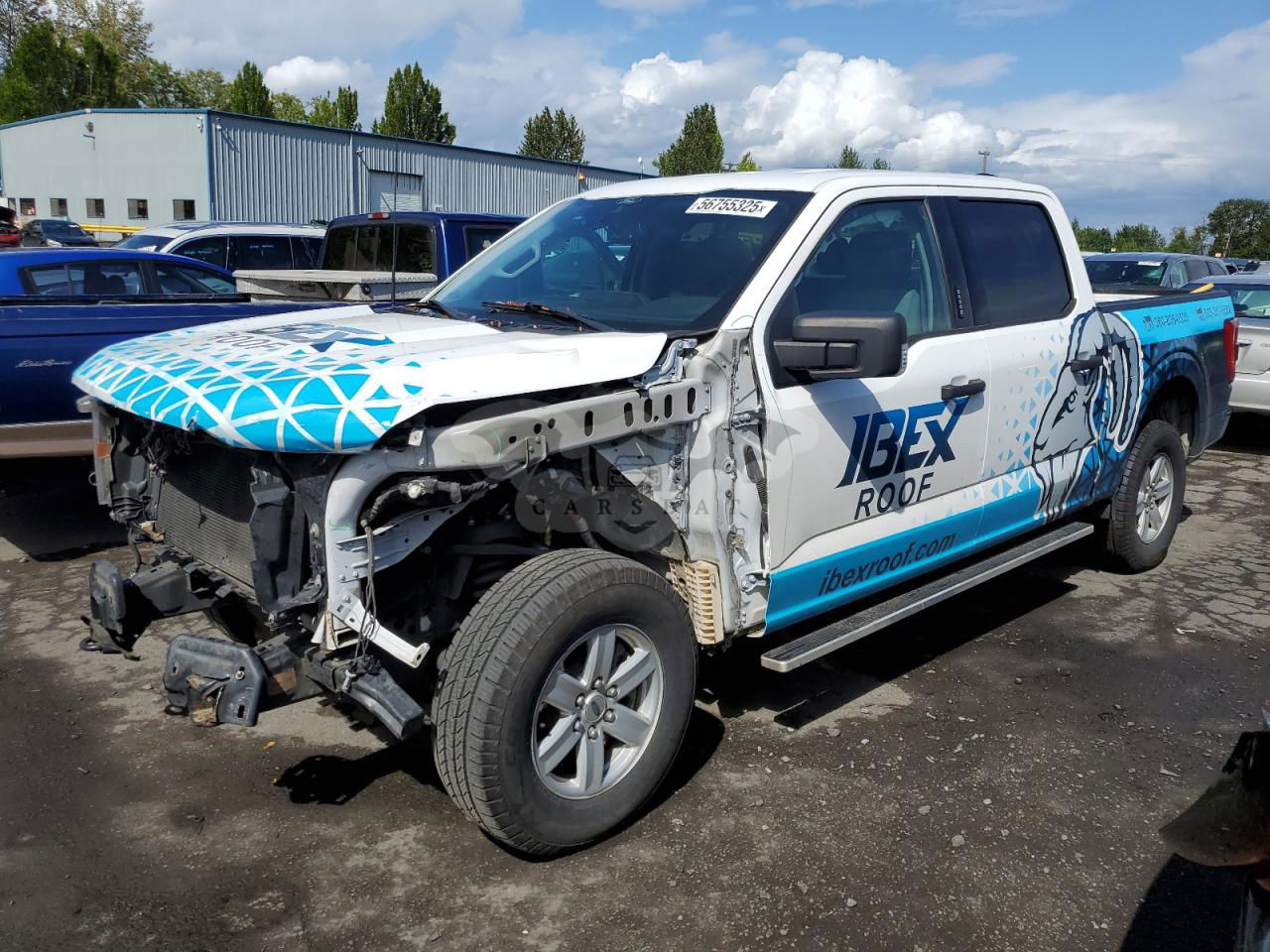 Ford F-150 SUPERCREW 5.0L  8 2021