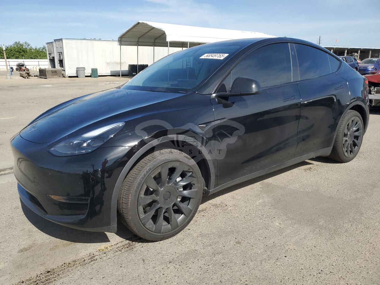 Tesla Model Y 2024