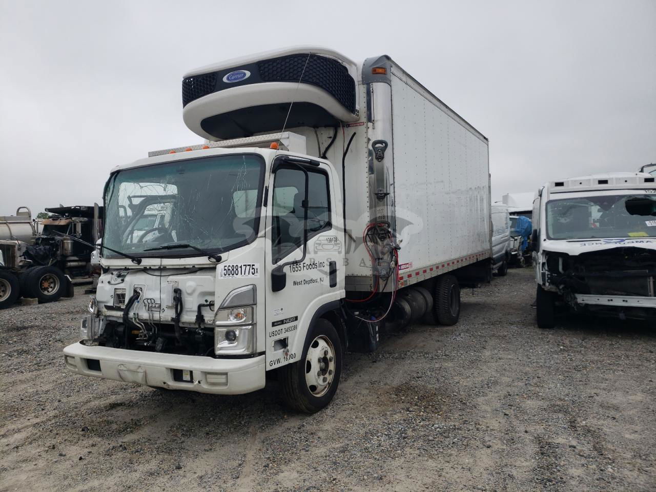 Isuzu NQR 5.2L  4 2023