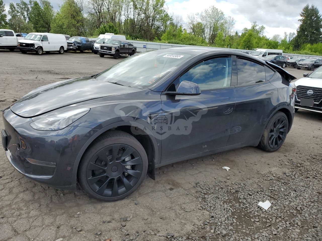Tesla Model Y 2024