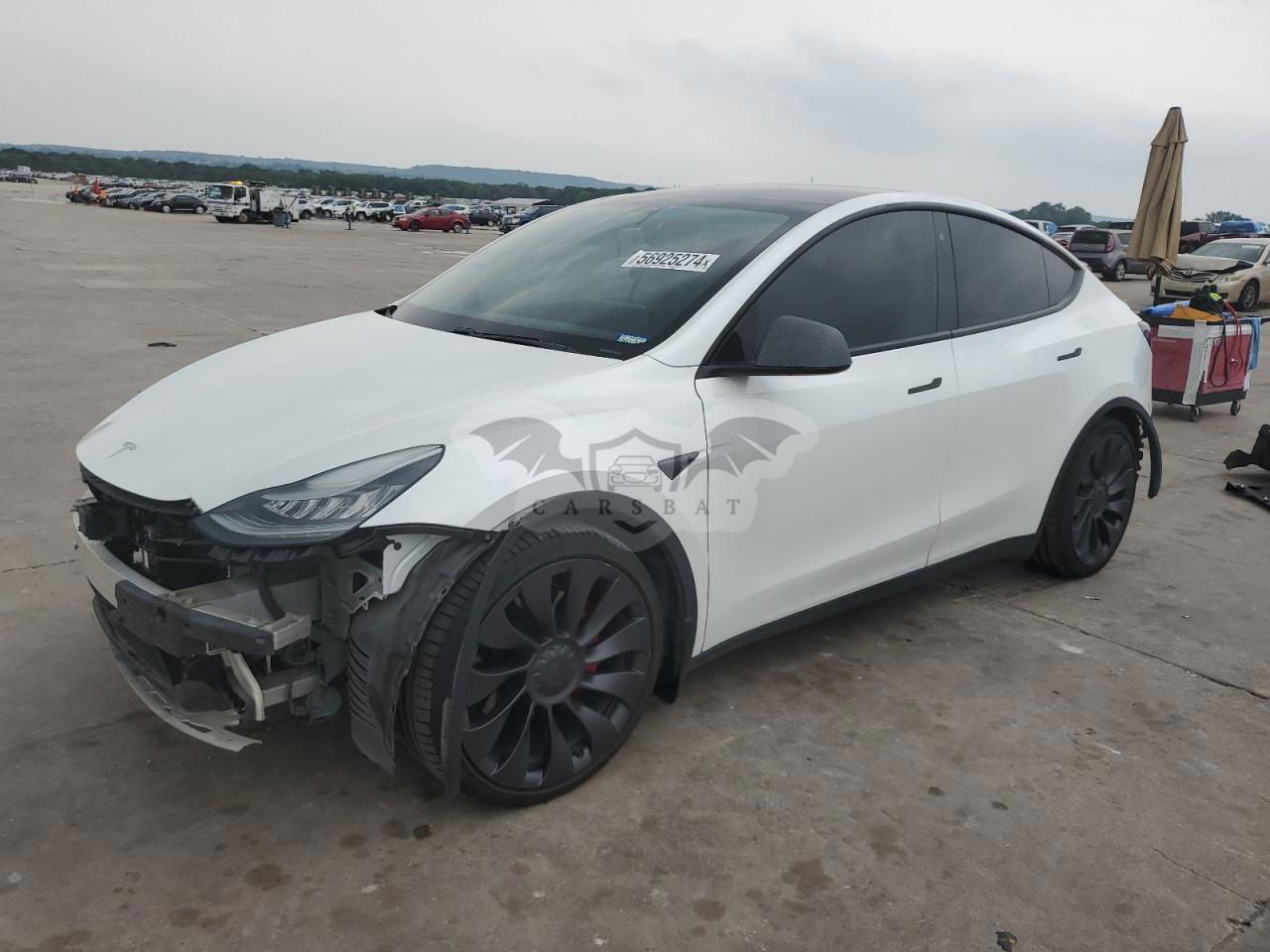 Tesla Model Y 2020