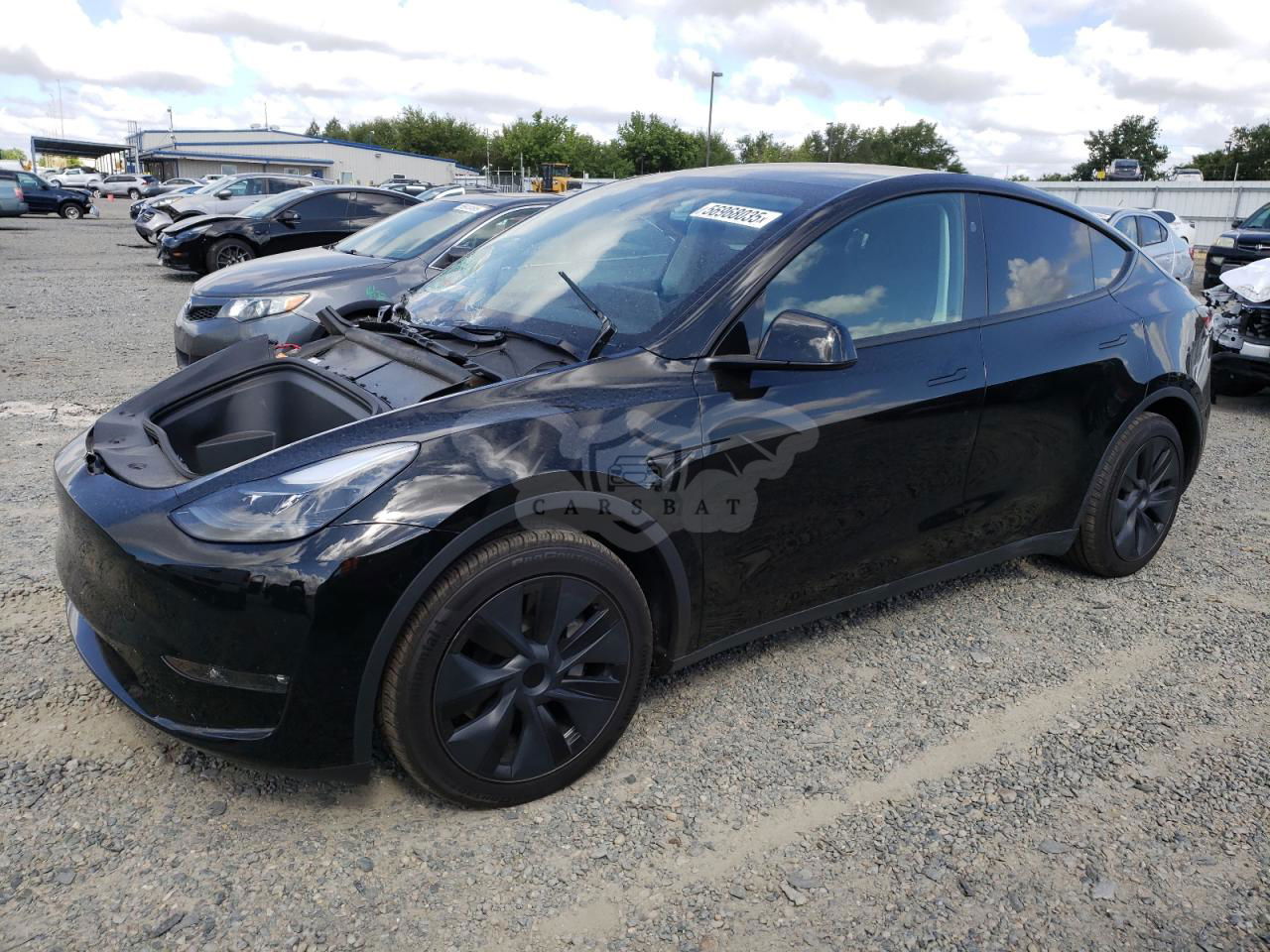 Tesla Model Y 2024
