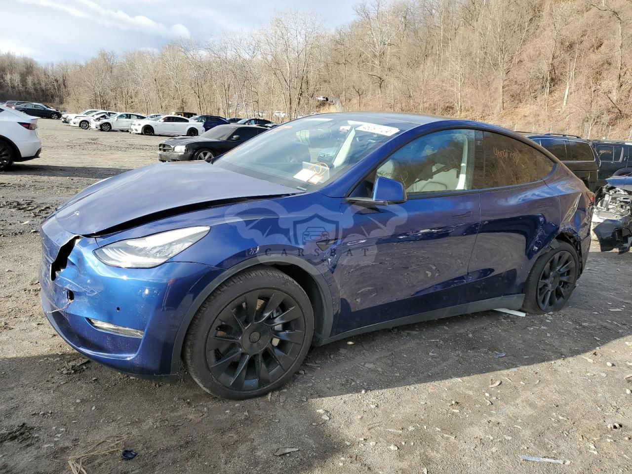 Tesla Model Y 2020
