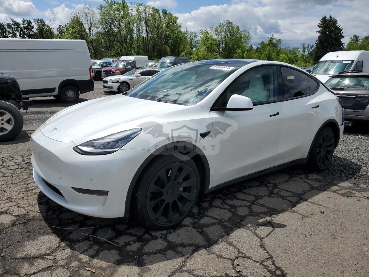 Tesla Model Y 2021