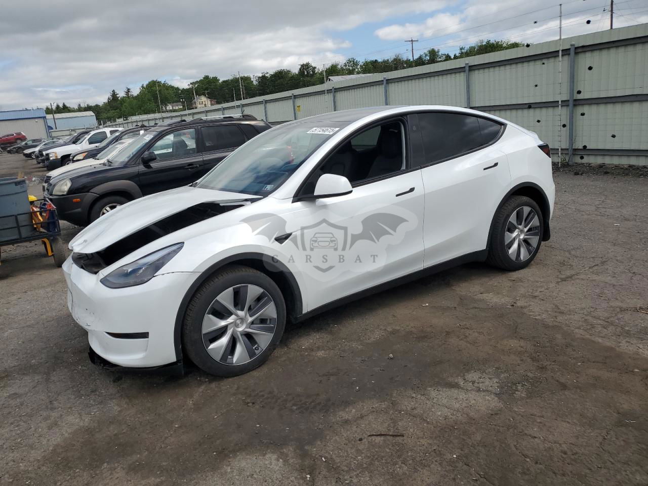 Tesla Model Y 2024