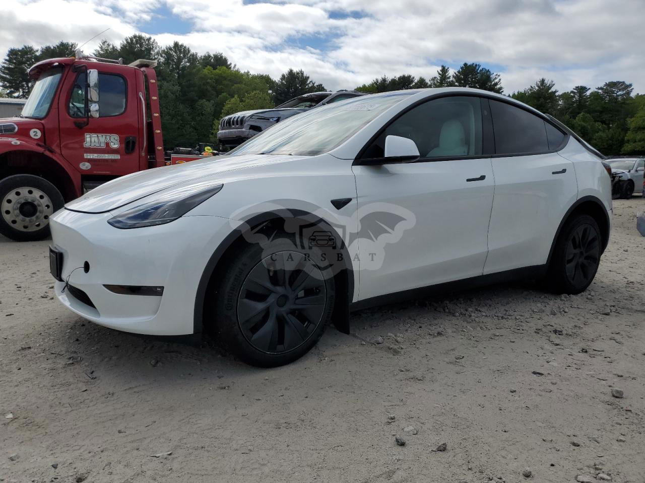 Tesla Model Y 2024