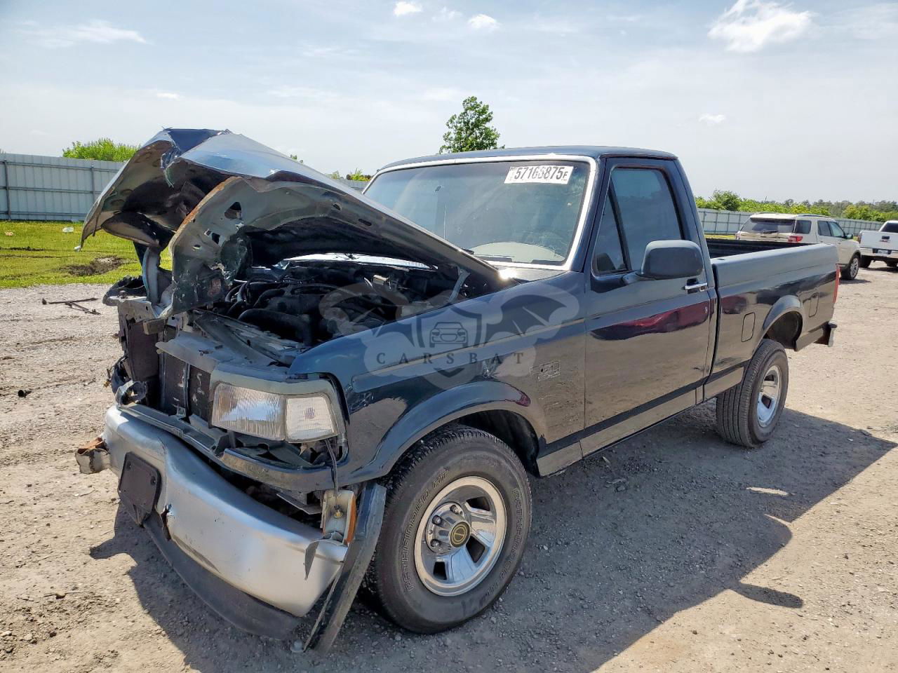 Ford F-150 4.9L  6 1995