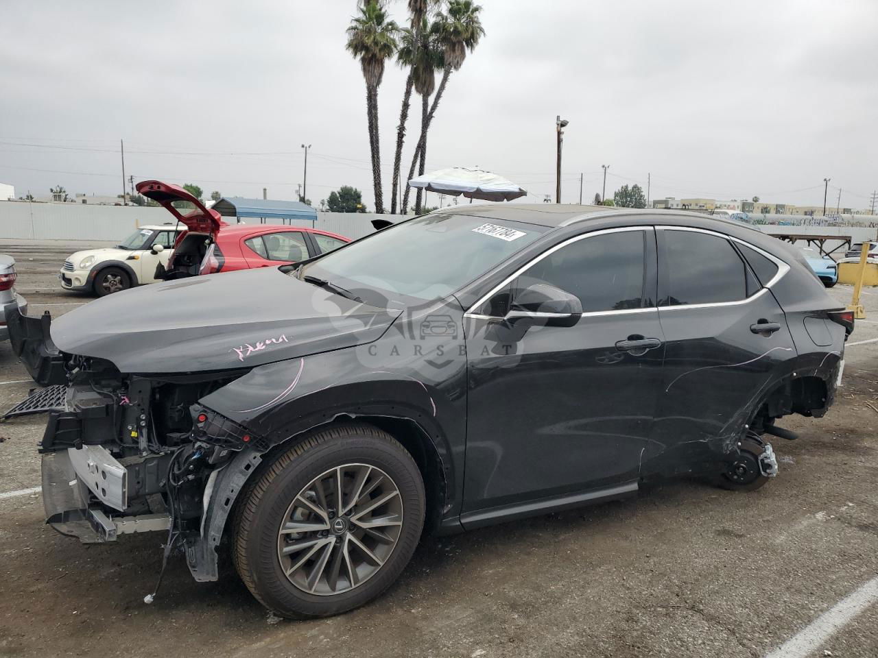 Lexus NX 2024