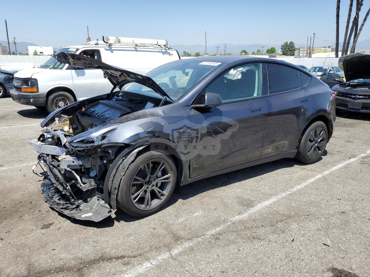 Tesla Model Y 2024