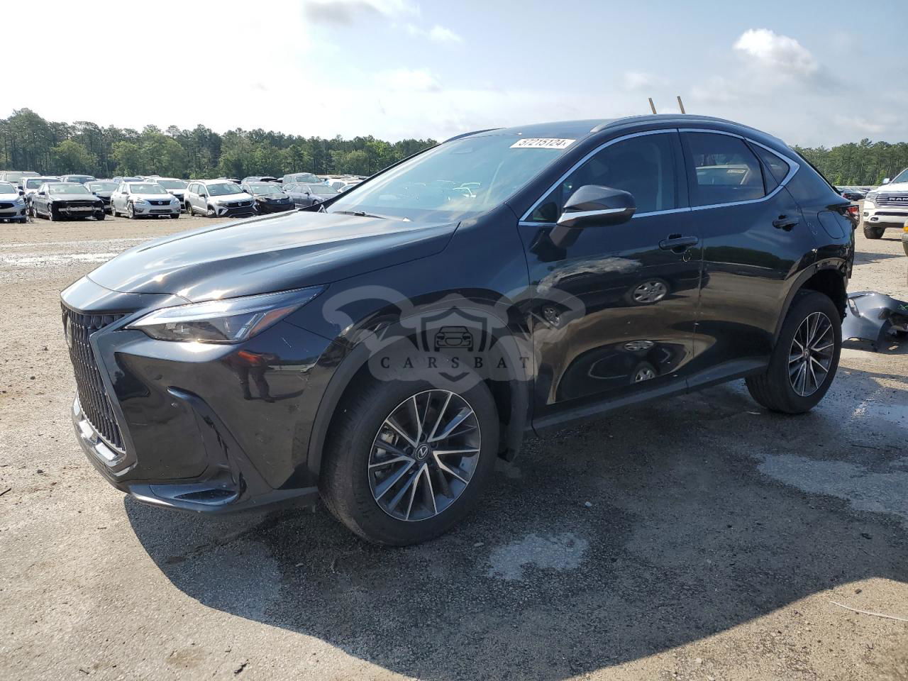 Lexus NX 250 BASE 2.5L  4 2024