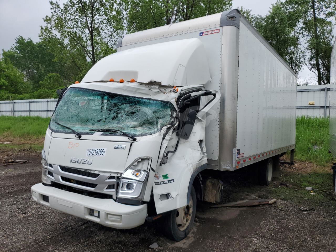 Isuzu NPR 5.2L  4 2023