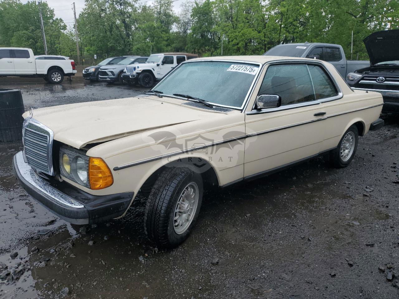 Mercedes-Benz C 1979