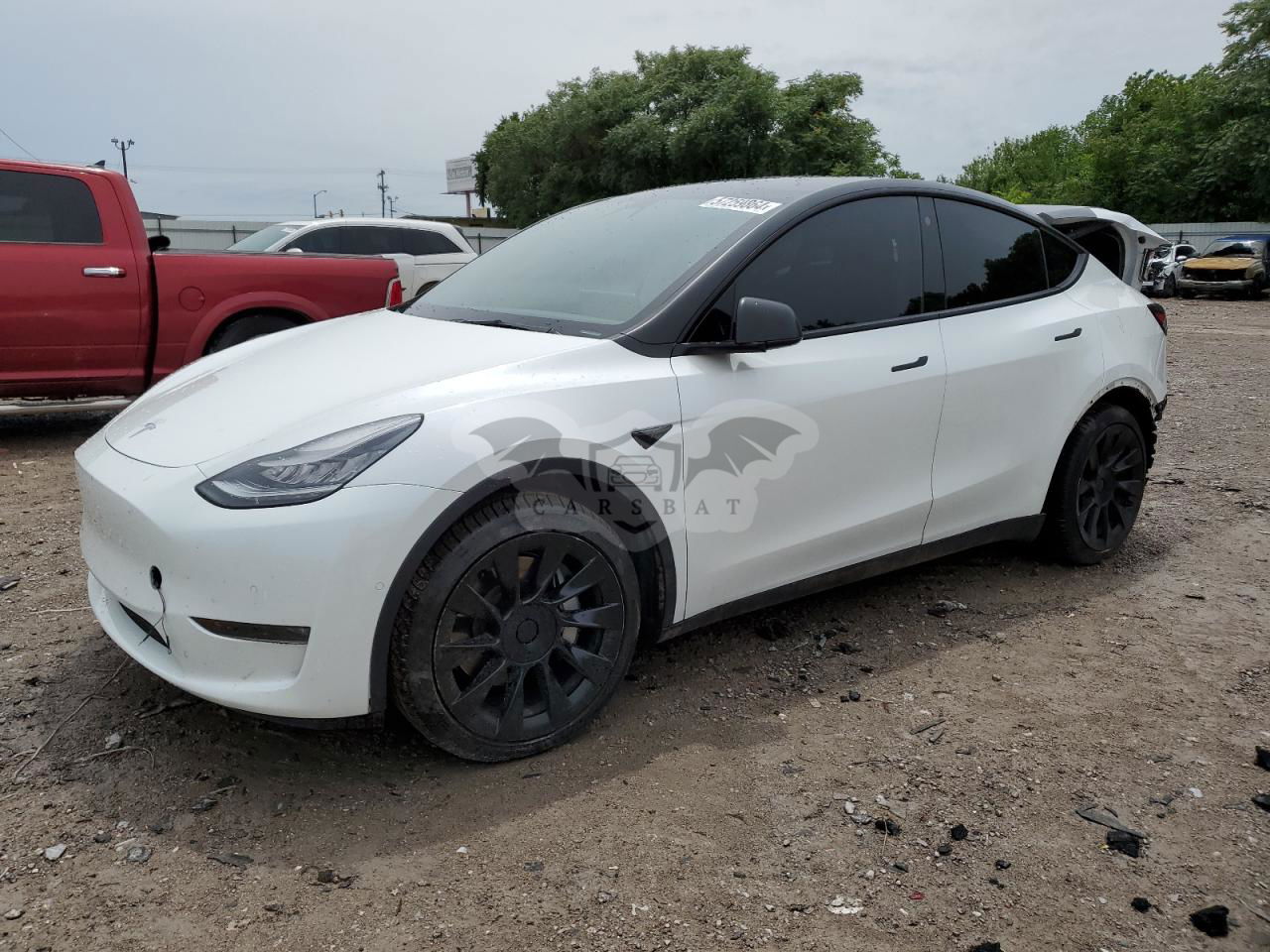 Tesla Model Y 2021