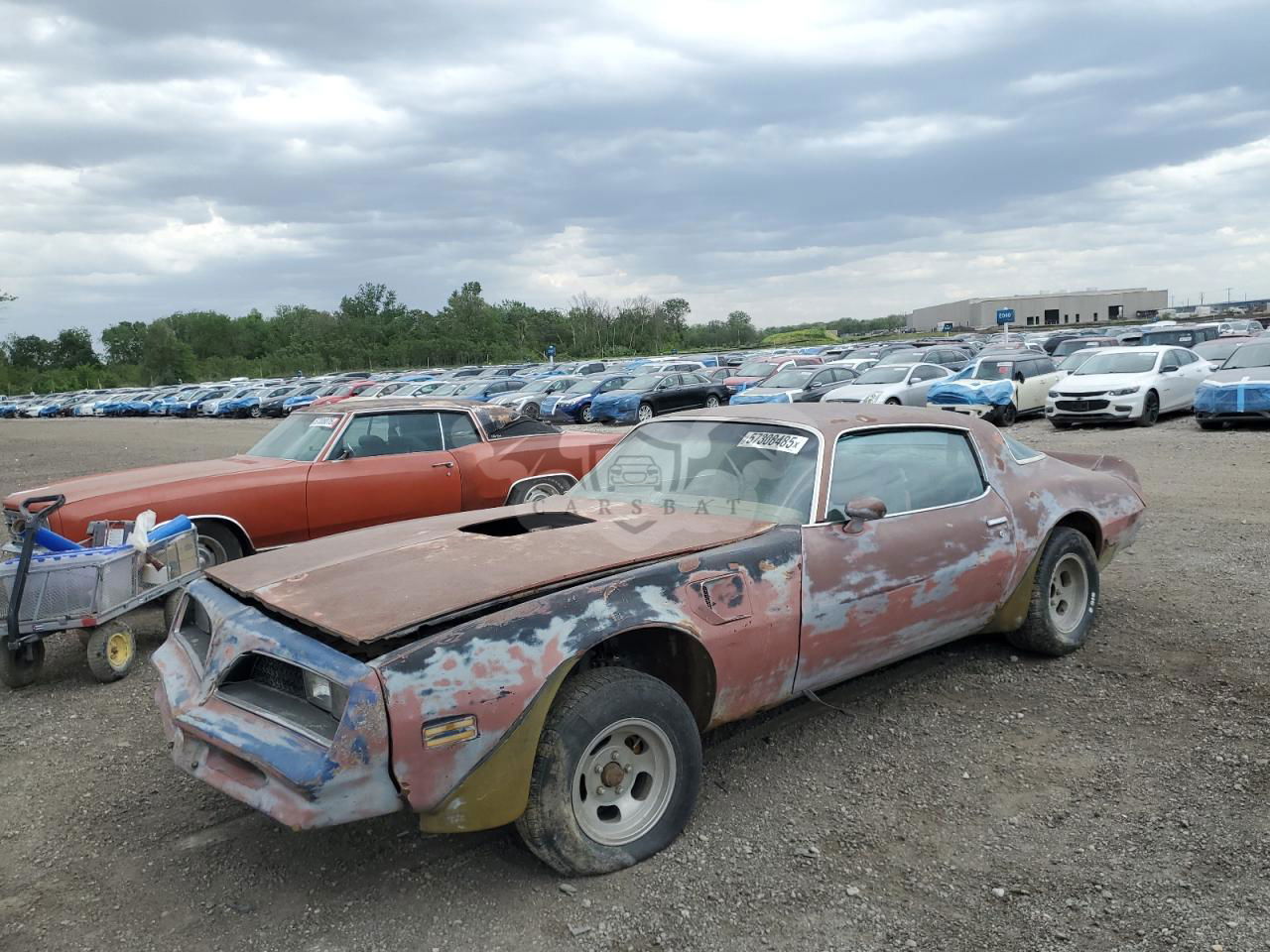 Pontiac Firebird 1978