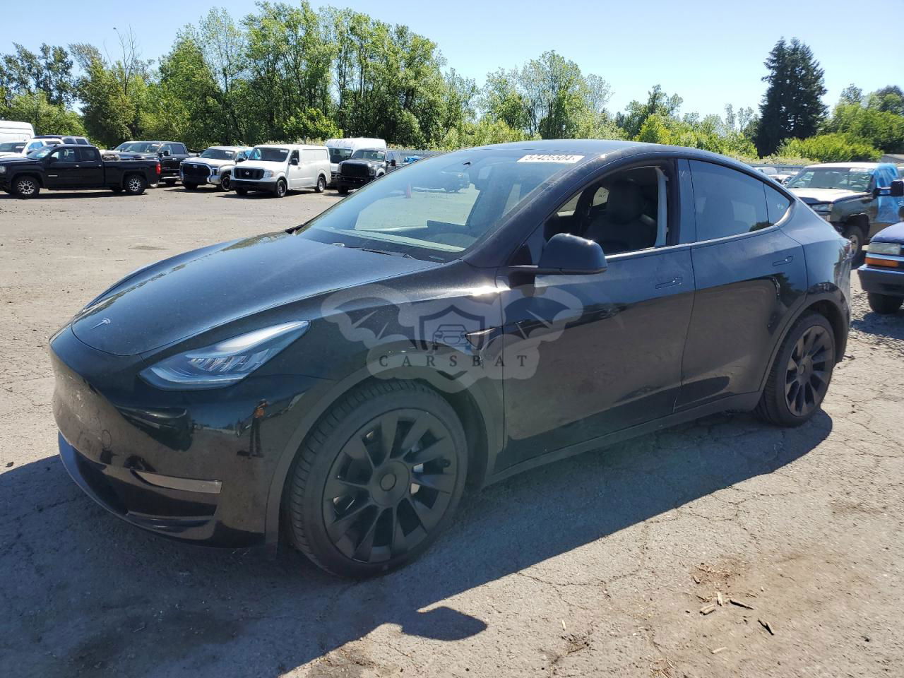 Tesla Model Y 2020