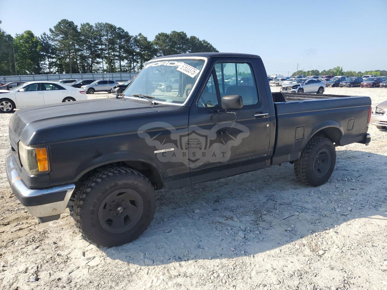 Ford F-150 4.9L  6 1989