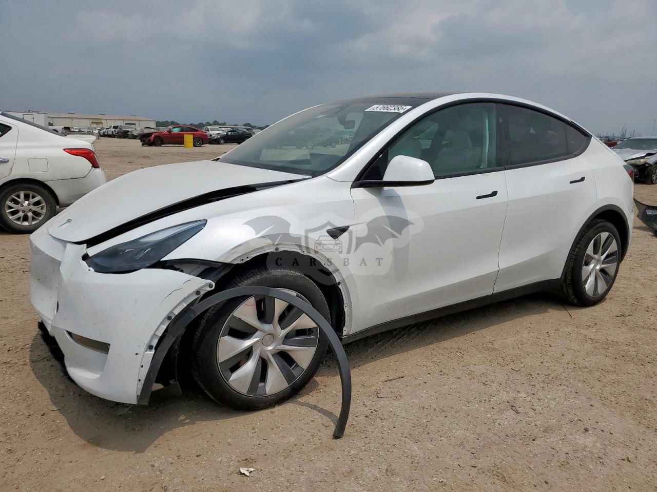 Tesla Model Y 2024