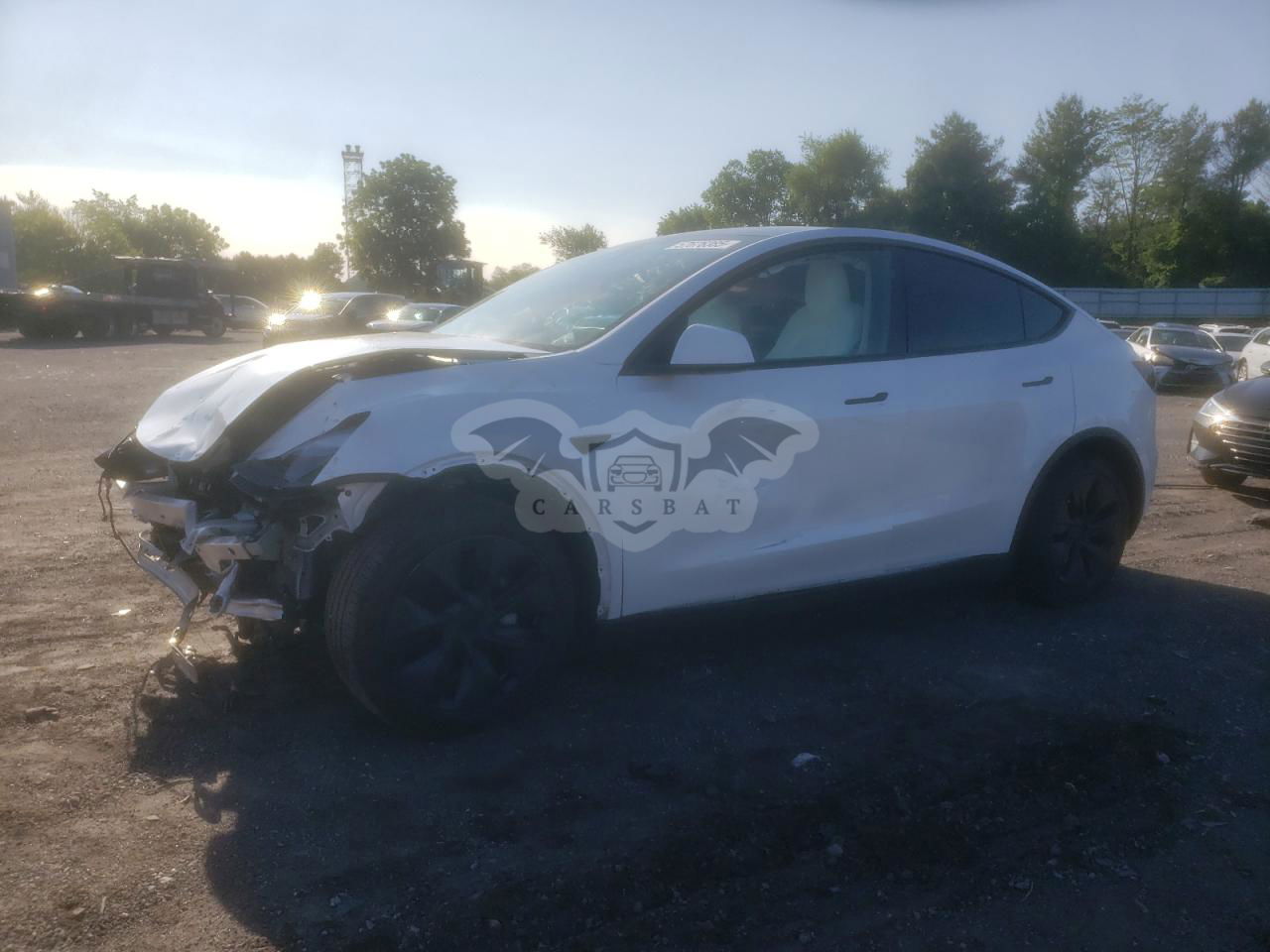 Tesla Model Y 2024
