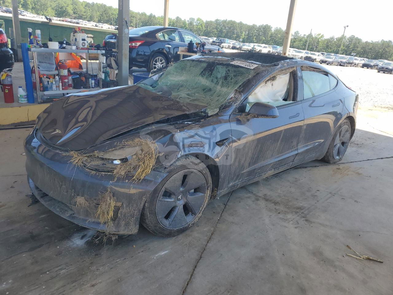Tesla Model 3 2022