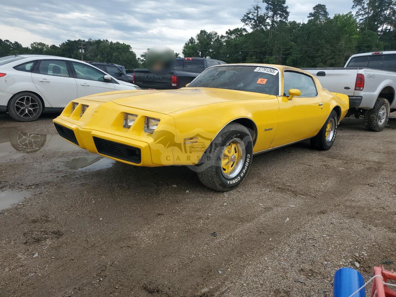 Pontiac Firebird ESPRIT 4.3L  8 1981