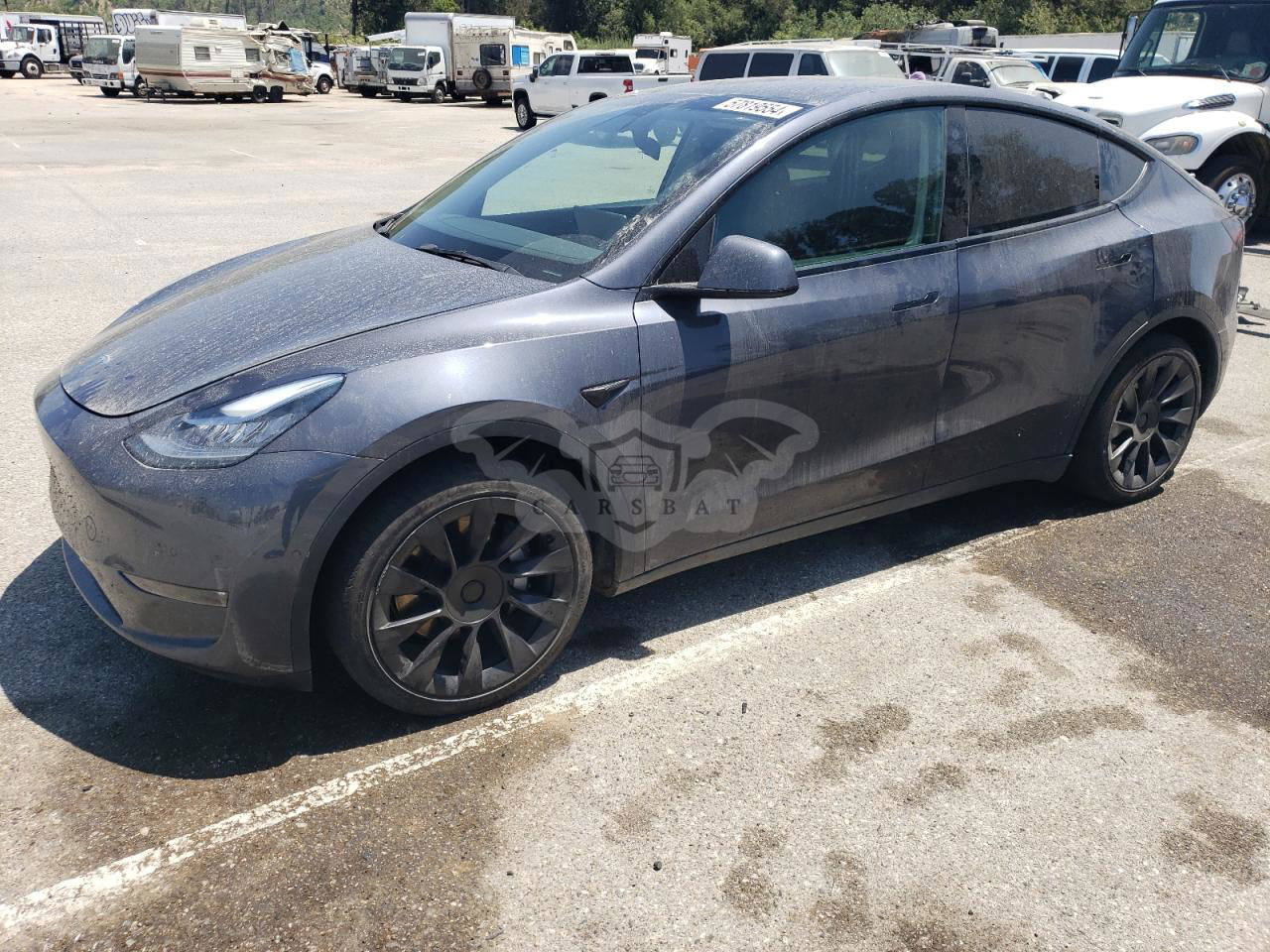 Tesla Model Y 2021