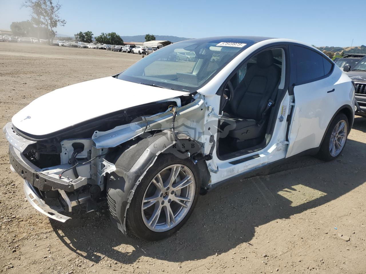 Tesla Model Y 2024