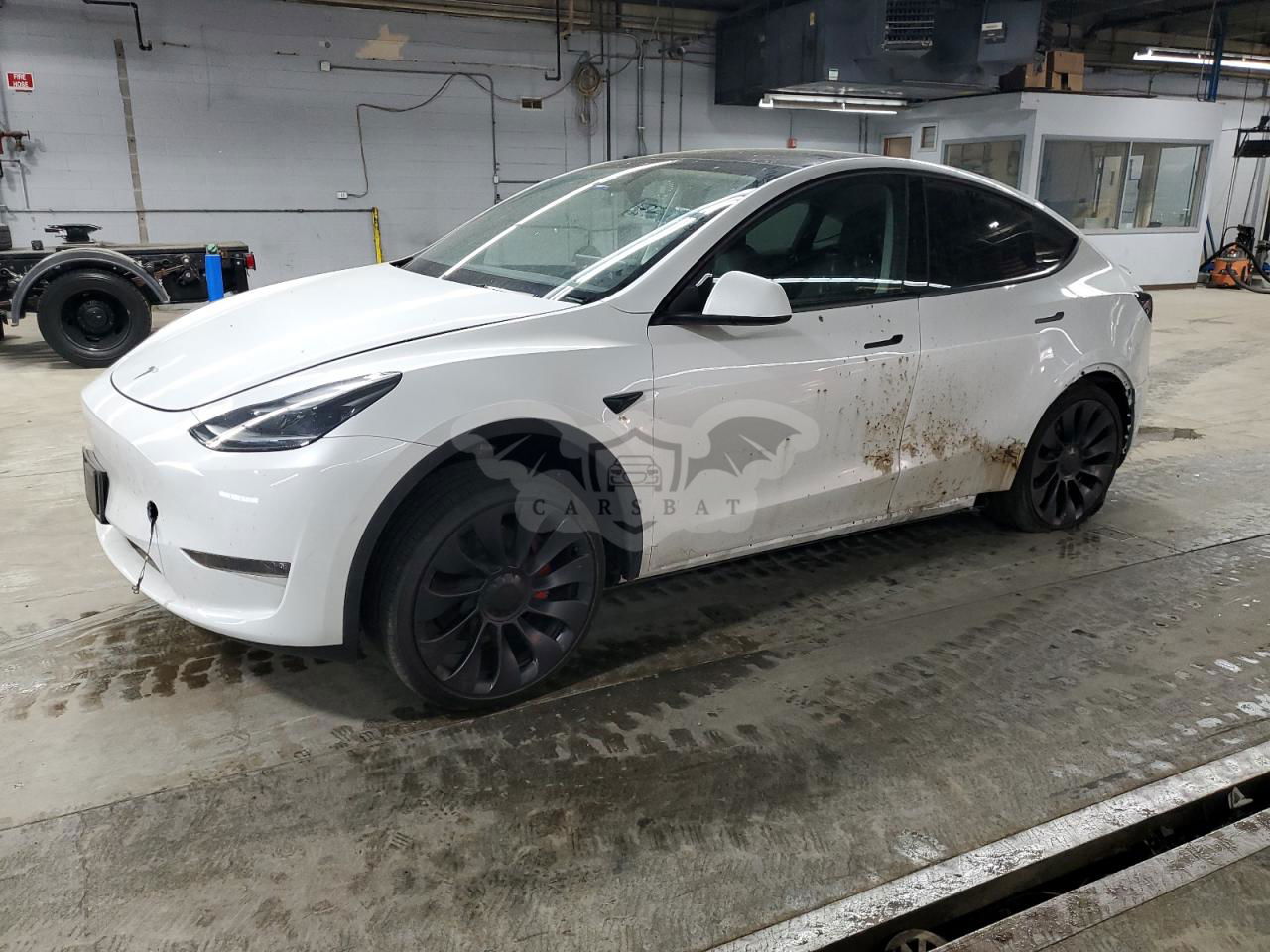 Tesla Model Y 2024