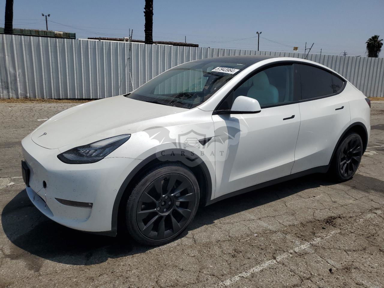 Tesla Model Y 2021