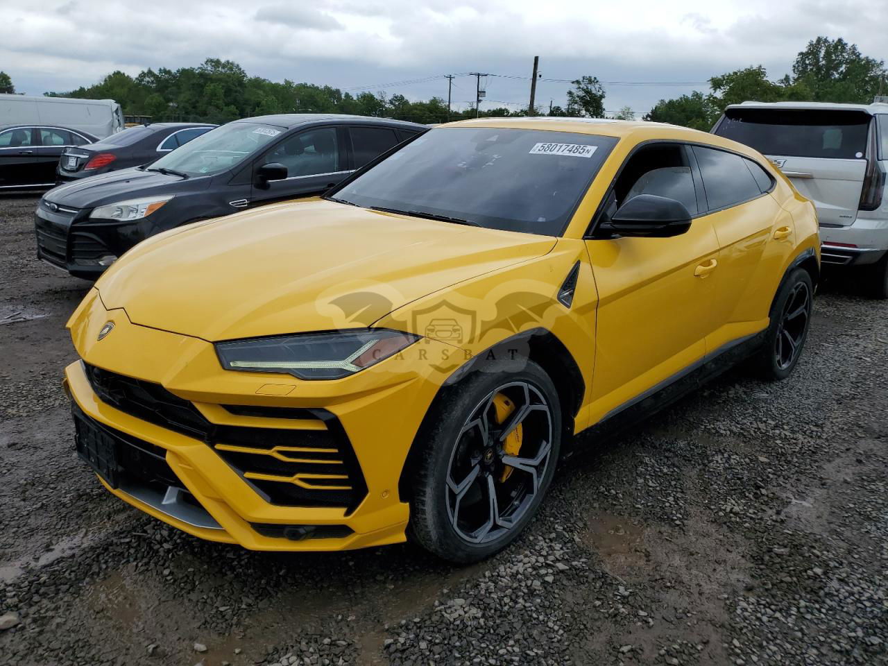 Lamborghini Urus 4.0L  8 2019