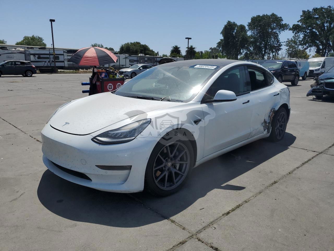 Tesla Model 3 2022
