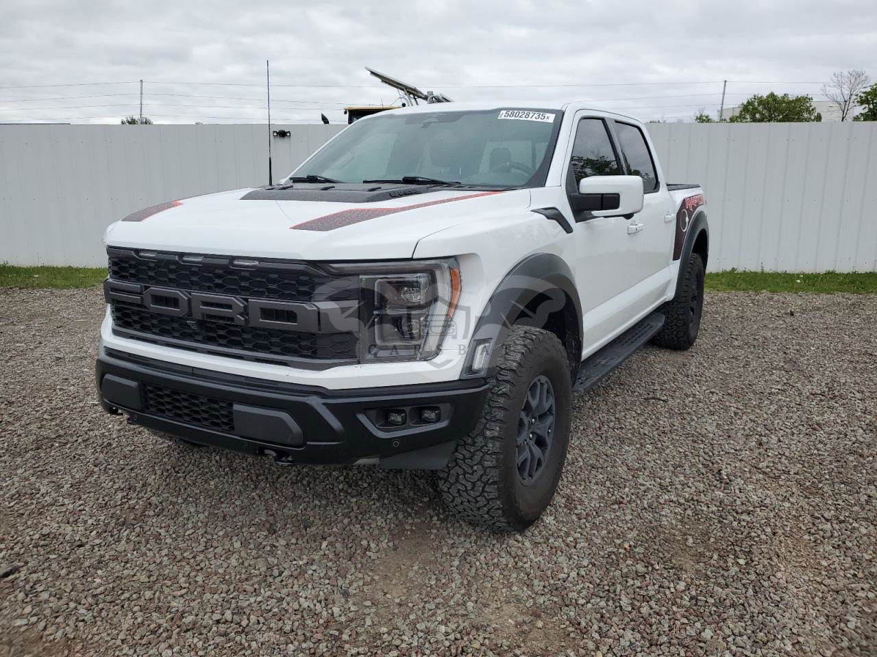 Ford F-150 RAPTOR 3.5L  6 2023