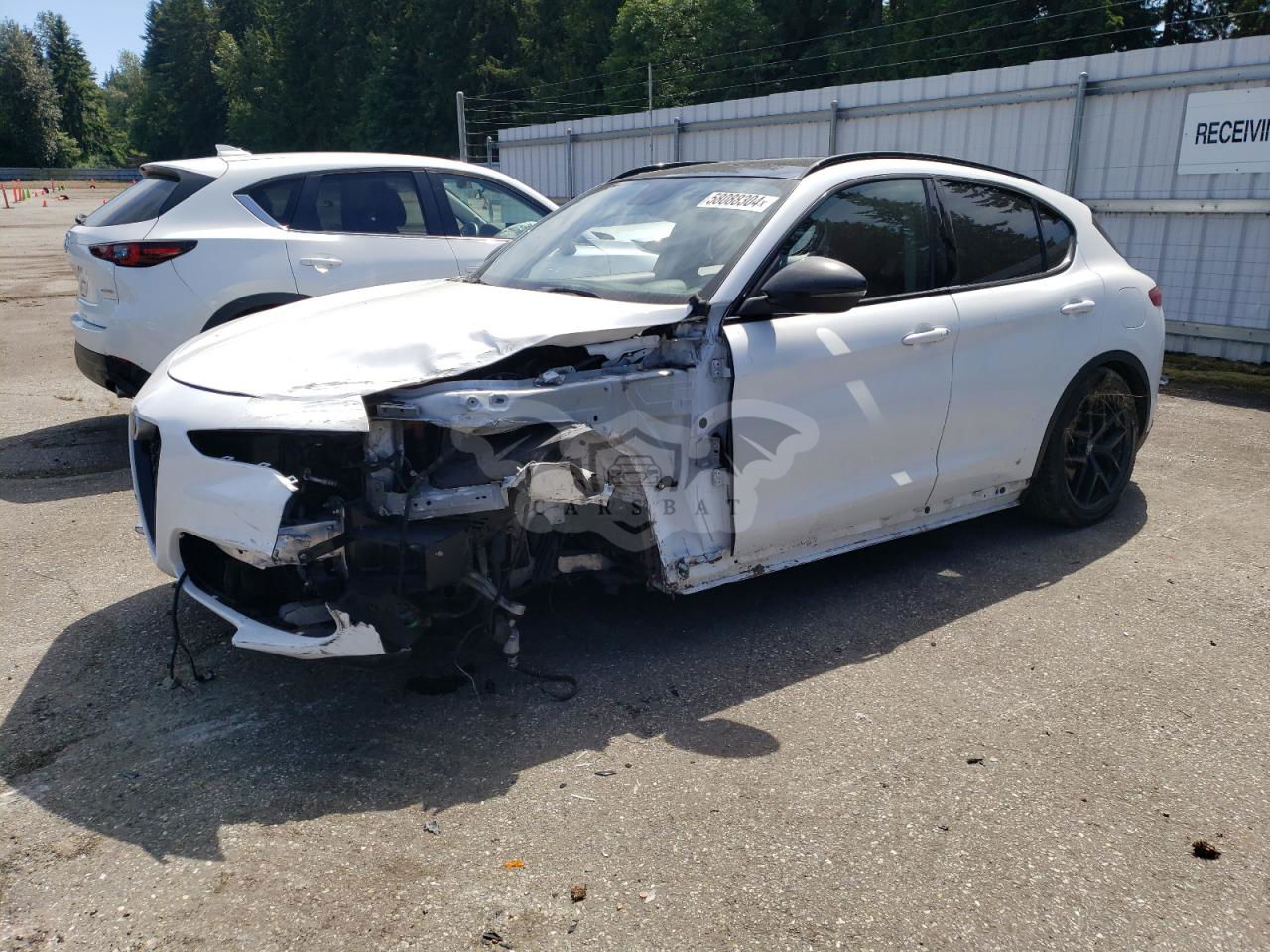 Alfa Romeo Stelvio 2.0L  4 2019