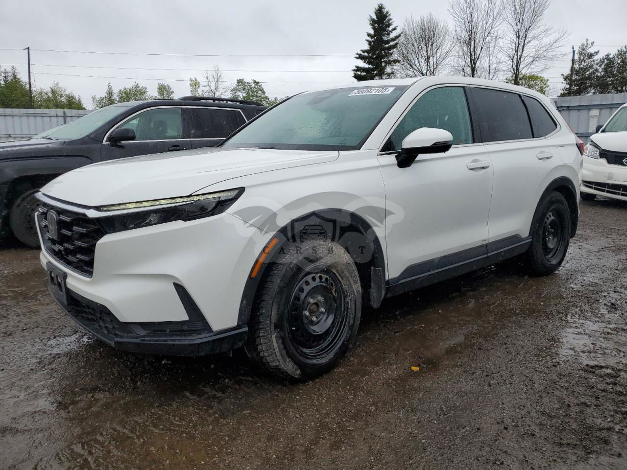 Honda CR-V EXL 1.5L  4 2023