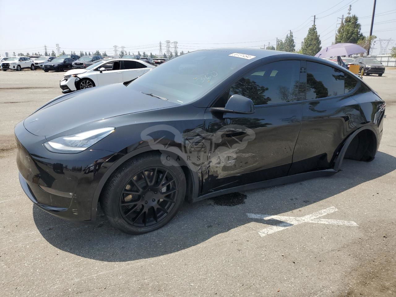 Tesla Model Y 2021