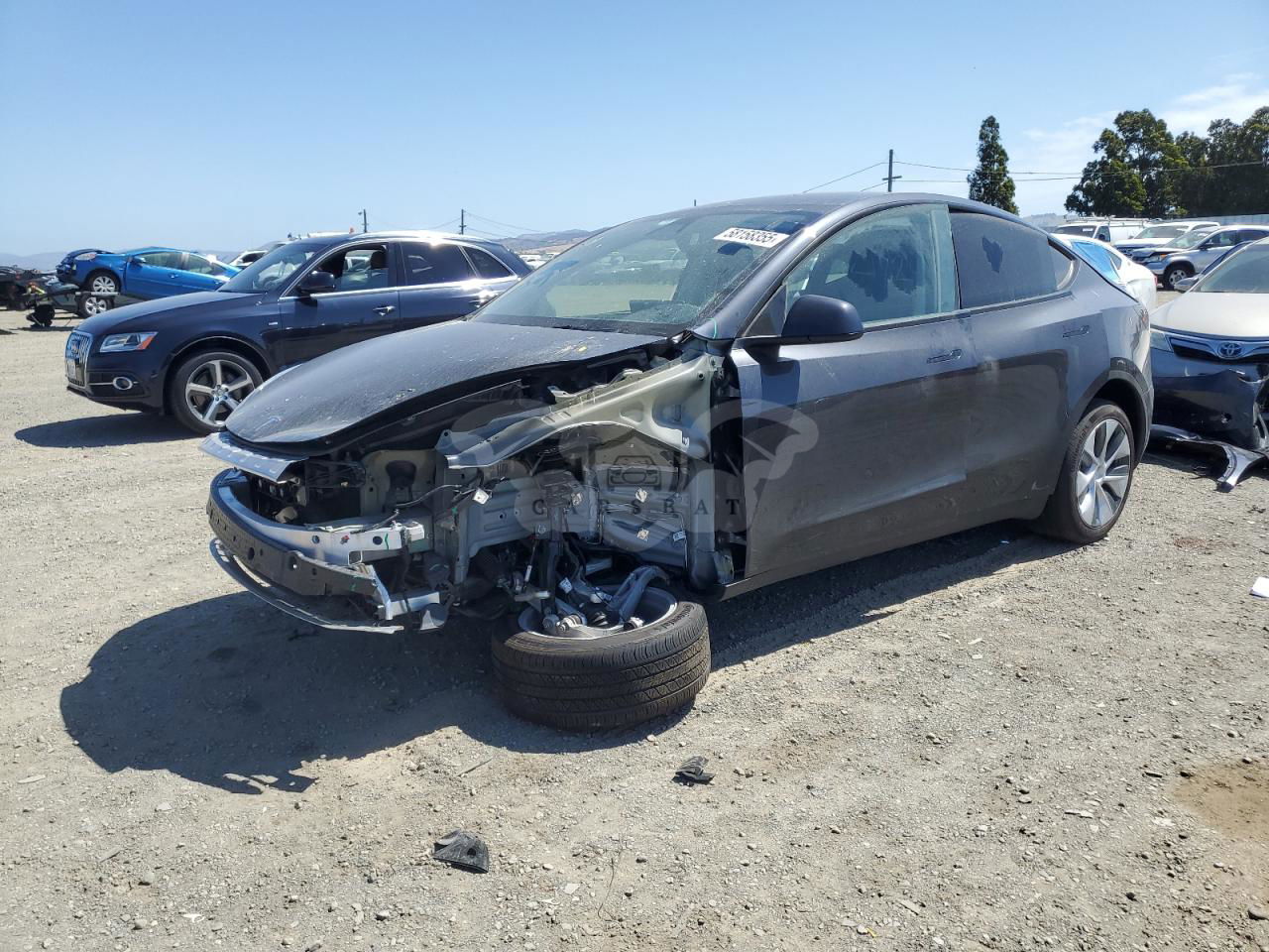 Tesla Model Y 2024