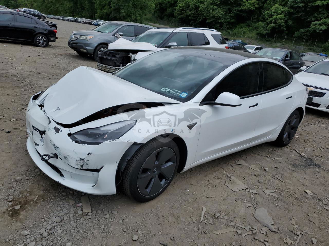 Tesla Model 3 2022