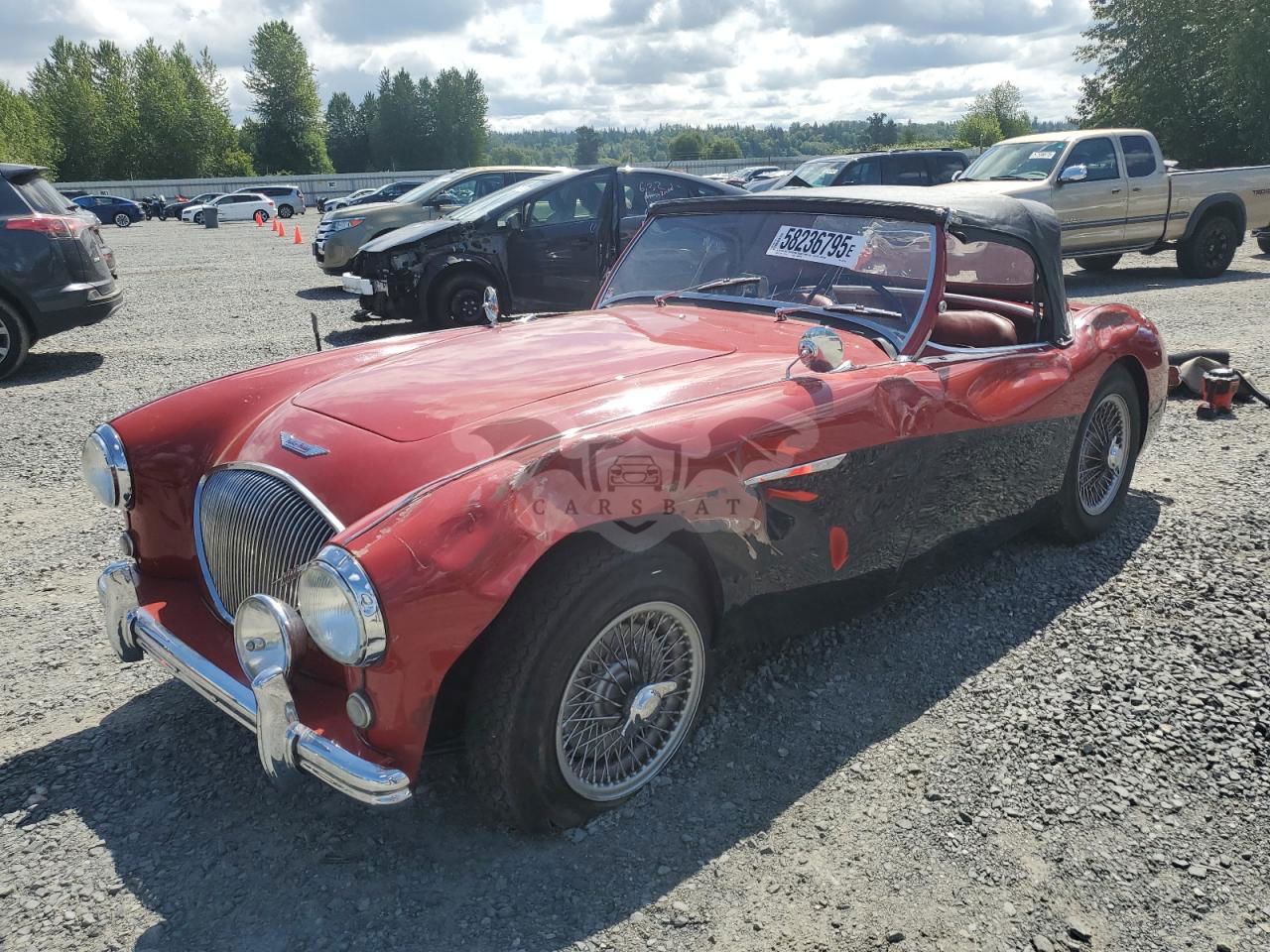 Austin Healey 1956