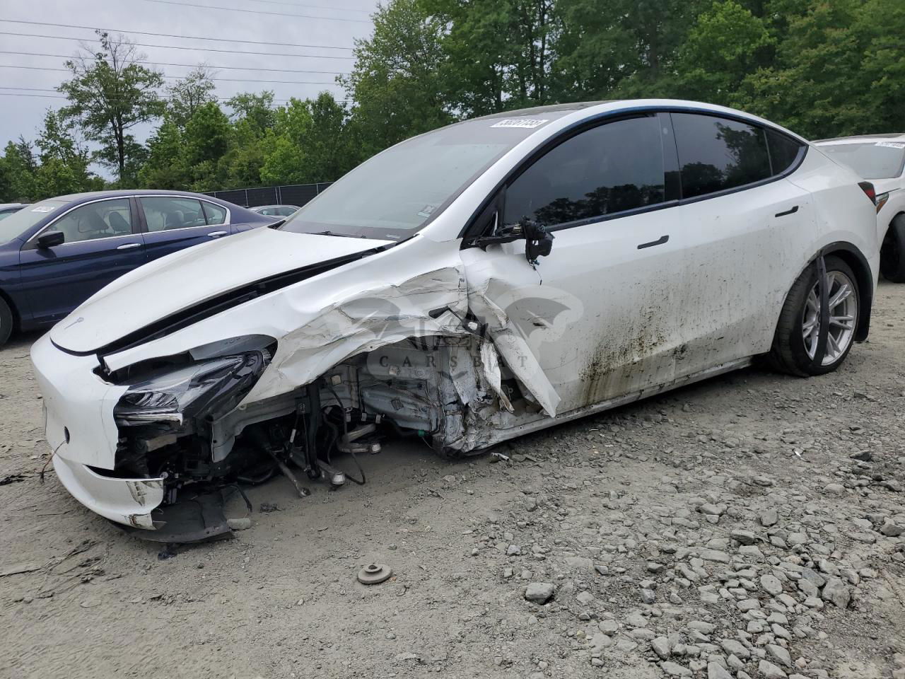 Tesla Model Y 2021