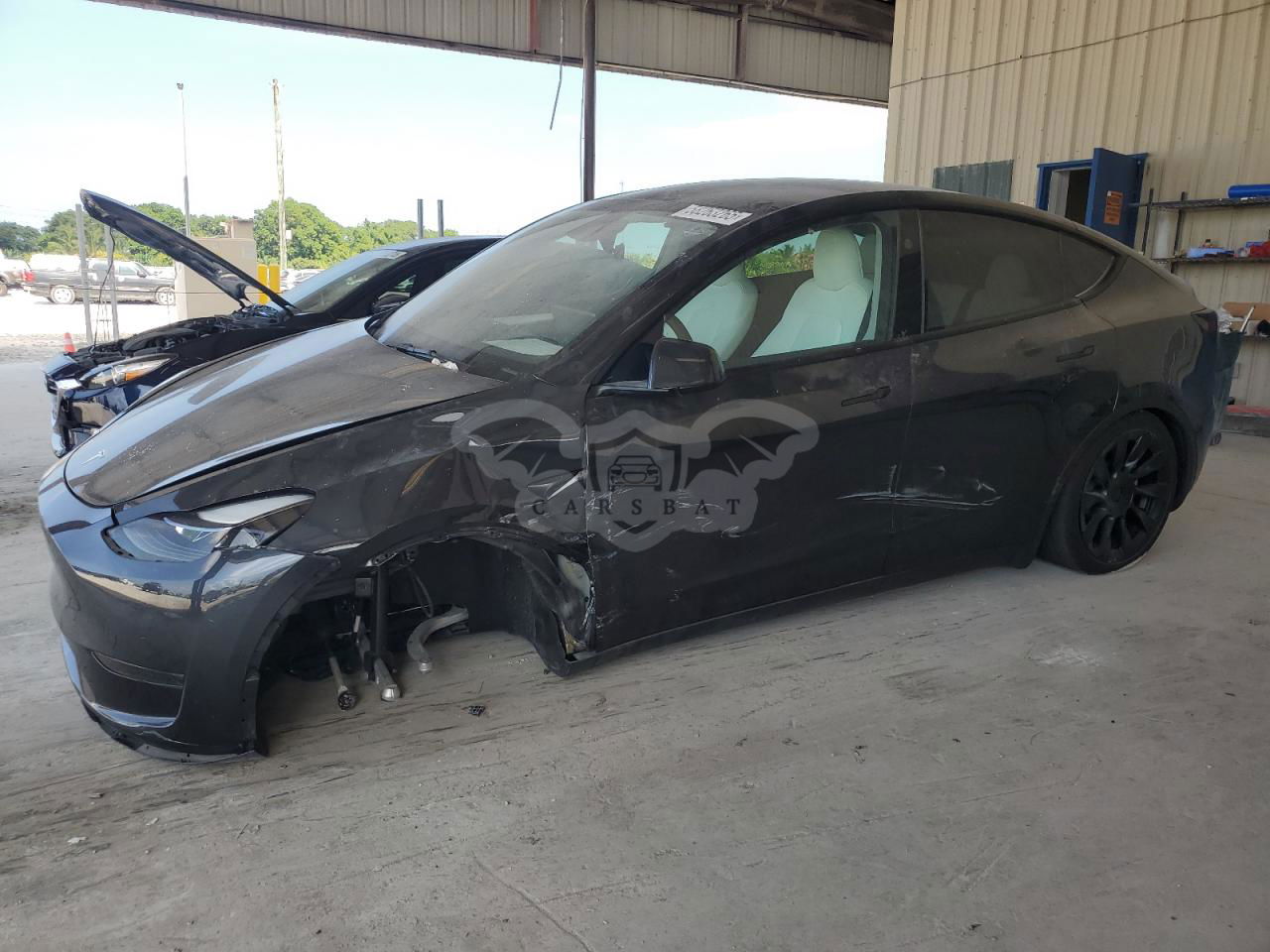 Tesla Model Y 2024