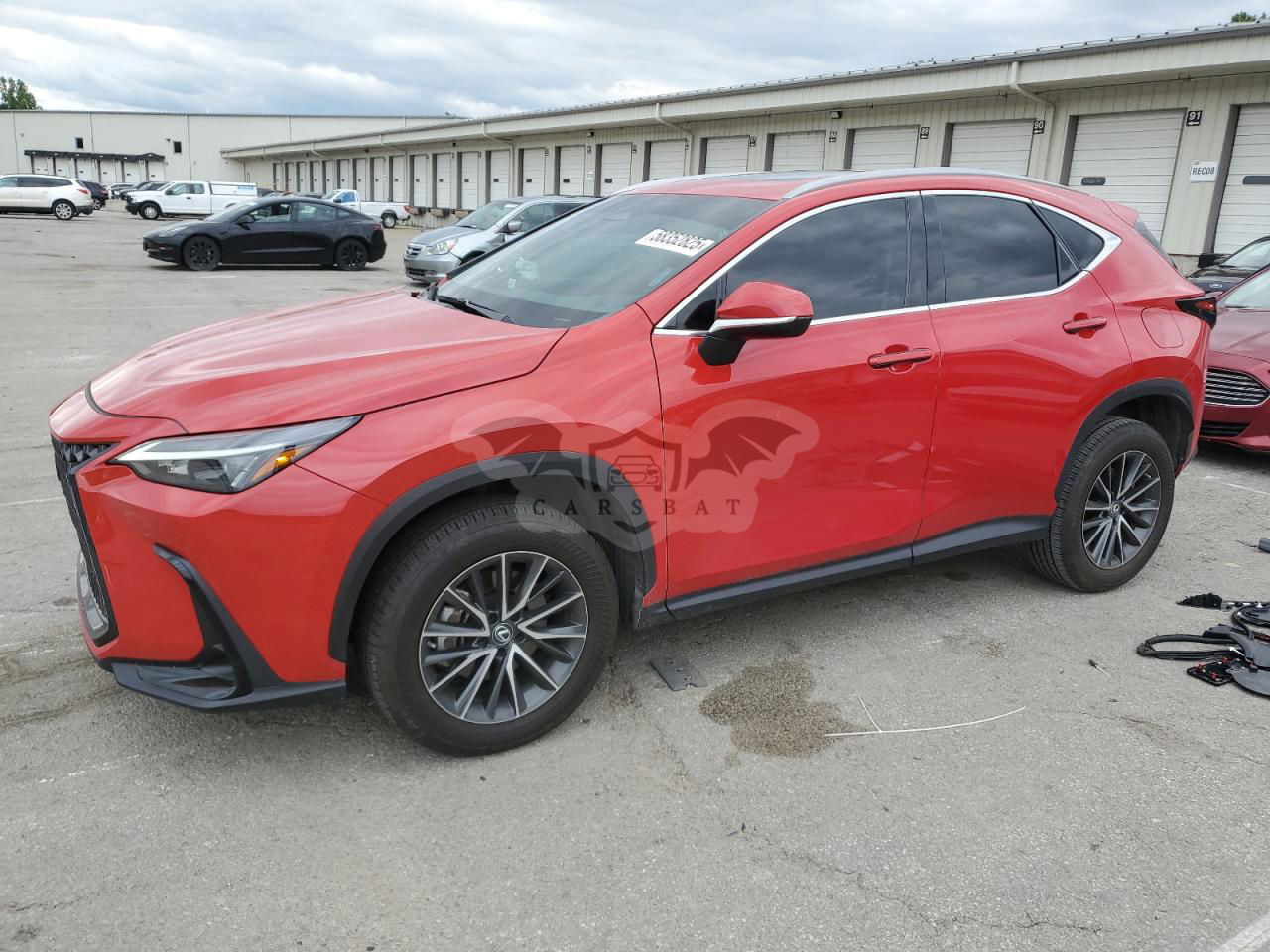 Lexus NX 250 2.5L  4 2023