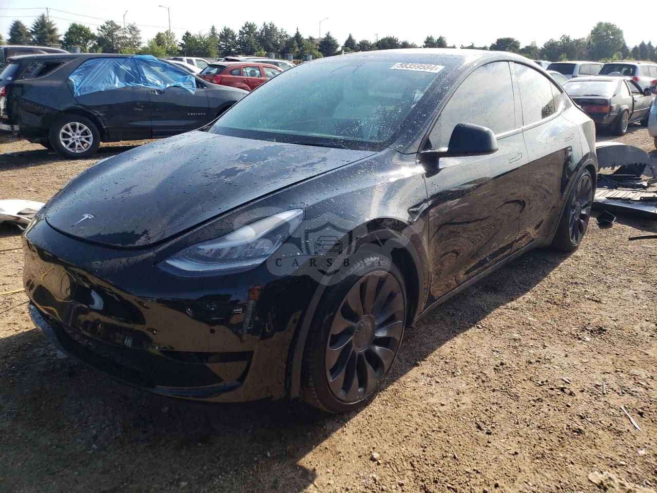 Tesla Model Y 2020