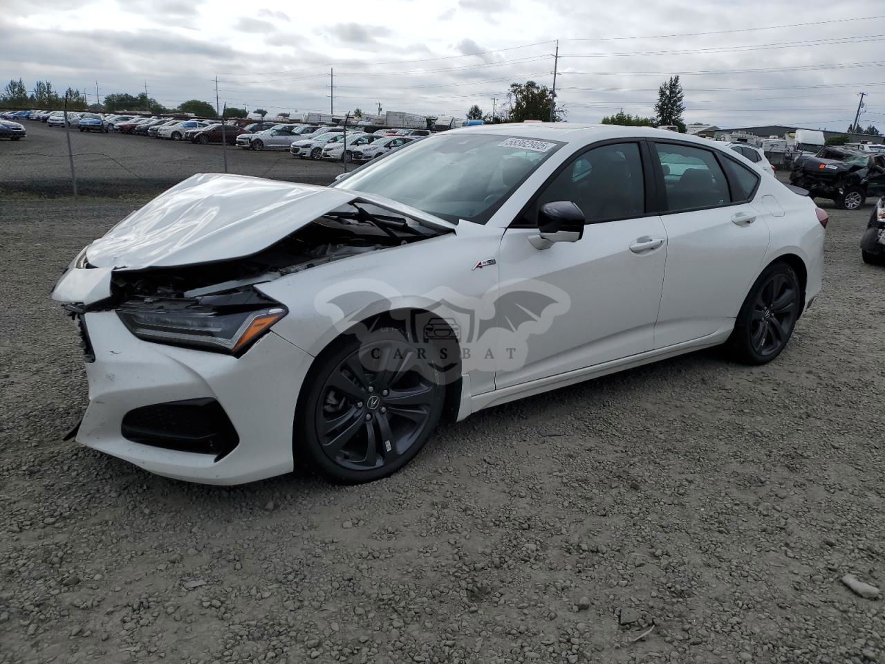 Acura TLX A-SPEC 2.0L  4 2023