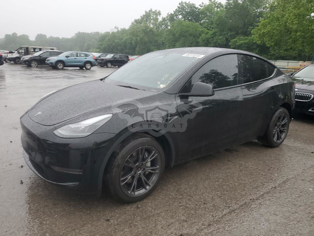 Tesla Model Y 2024