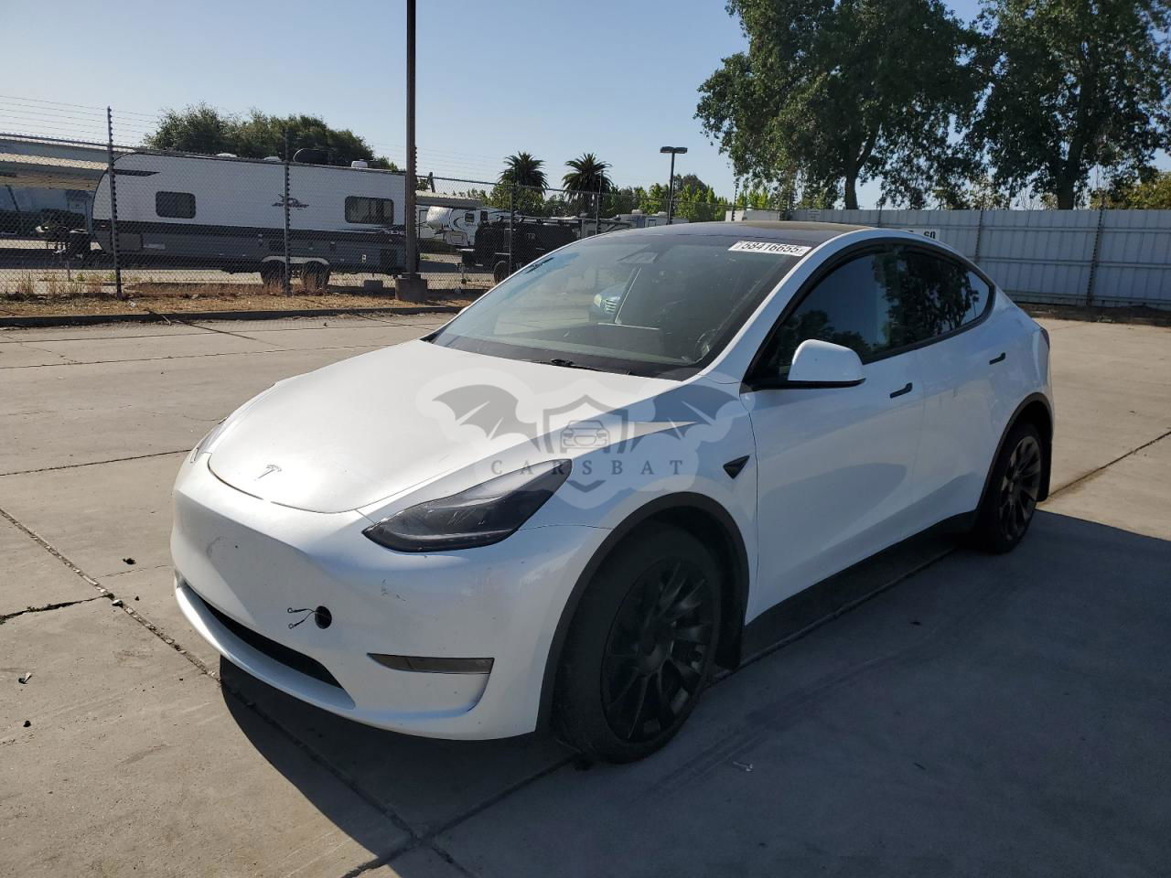 Tesla Model Y 2024