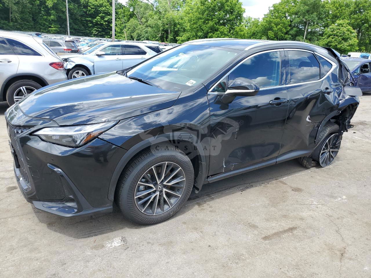 Lexus NX 2024