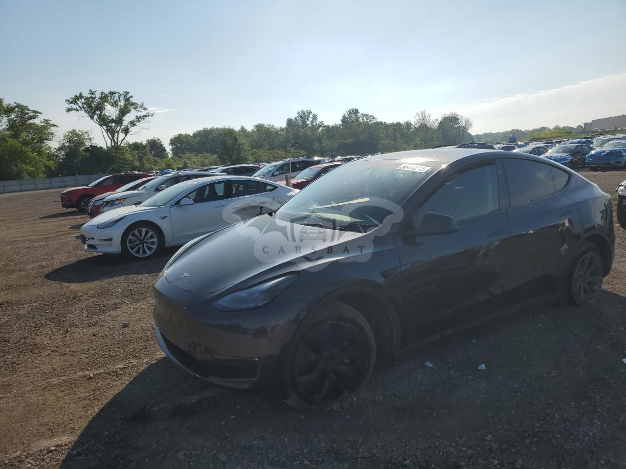 Tesla Model Y 2024