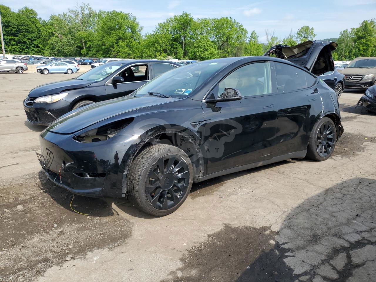 Tesla Model Y 2022